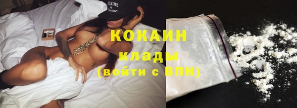 дживик Бородино