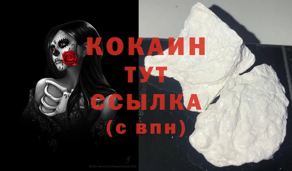 дживик Бородино