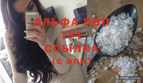 дживик Бородино