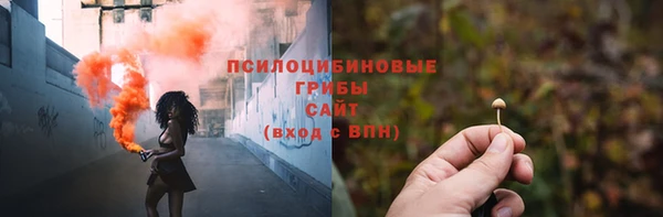 прущие крисы Бронницы