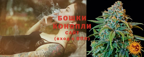 дживик Бородино