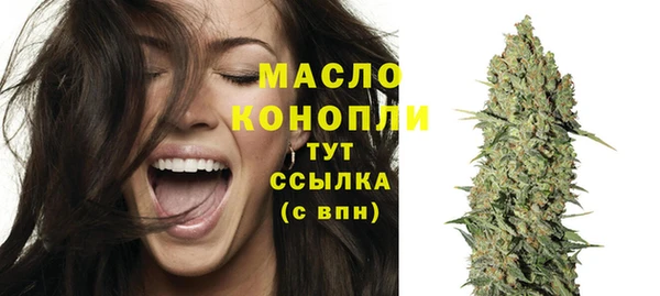 дживик Бородино