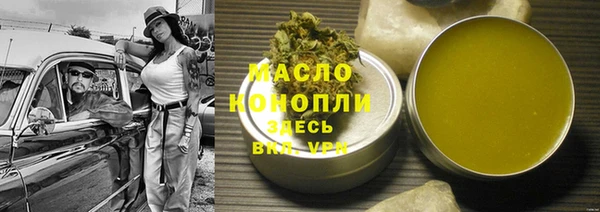 дживик Бородино