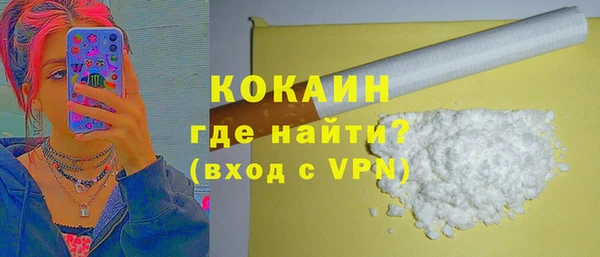 дживик Бородино